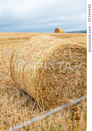 Hay rolls in the field Hay rolls in the field 93344498