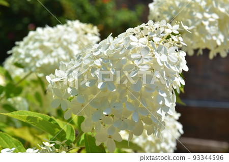 Minazuki 在一個陽光明媚的夏日 93344596