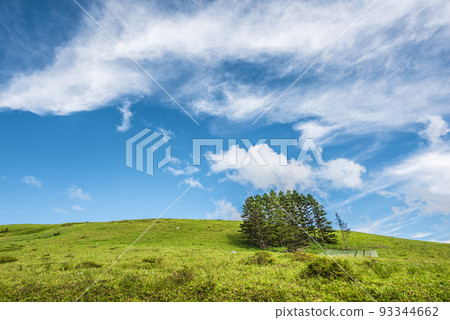 長野縣金星線景觀，霧峰，藍天白雲[8月] 93344662