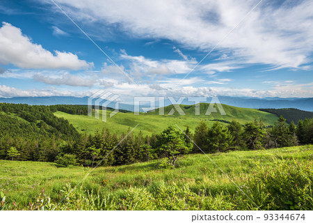 長野縣金星線景觀，霧峰，藍天白雲[8月] 93344674