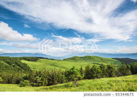 Landscape from the Venus Line in Nagano Prefecture, Kirigamine, blue sky and white clouds [August] 93344675