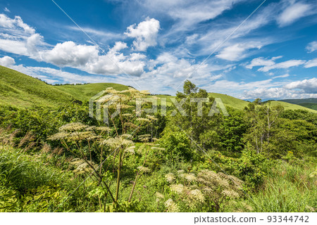 長野縣金星線景觀，霧峰，藍天白雲[8月] 93344742