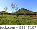 Autumn scenery at the foot of Mt. Yufu (pampas grass) 93345107