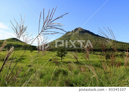 Autumn scenery at the foot of Mt. Yufu (pampas grass) 93345107