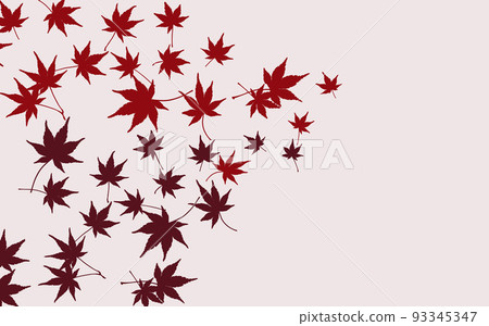 兩片彩色楓葉散落在明亮的背景上 兩片彩色楓葉散落在明亮的背景上 93345347