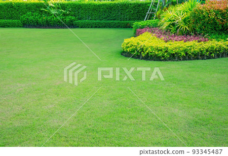 Garden with fresh green grass both shrub and flower front lawn background, Garden landscape design Fresh grass smooth lawn with curve form bush in house's garden care. Garden with fresh green grass both shrub and flower front lawn background, Garden landscape design Fresh grass smooth lawn with curve form bush in house's garden care. 93345487