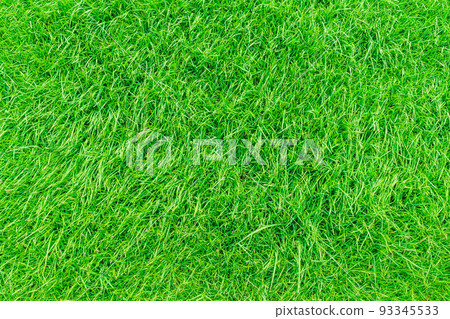 Green grass texture background, Top view of grass garden Ideal concept used for making green flooring, lawn for training football pitch, Grass Golf Courses green lawn pattern textured background. 93345533