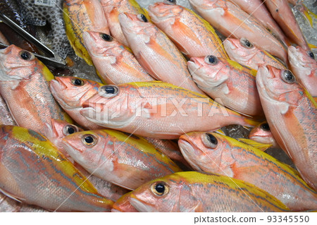 Fukayabitaro (Hana snapper/Okinawa) Fukayabitaro (Hana snapper/Okinawa) 93345550