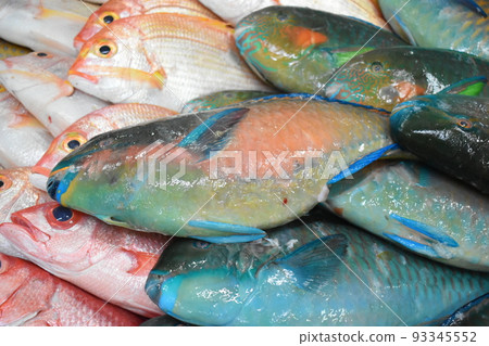 Irabucha (Omon Hagebudai/Okinawa) 93345552