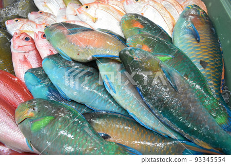 Irabucha (Omon Hagebudai/Okinawa) Irabucha (Omon Hagebudai/Okinawa) 93345554