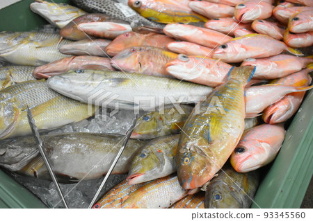 沖繩魚 沖繩魚 93345560