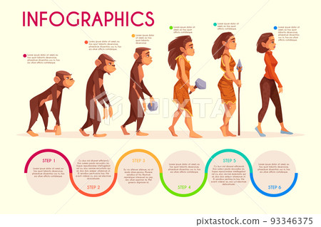 Human female evolution cartoon vector concept Human female evolution cartoon vector concept 93346375
