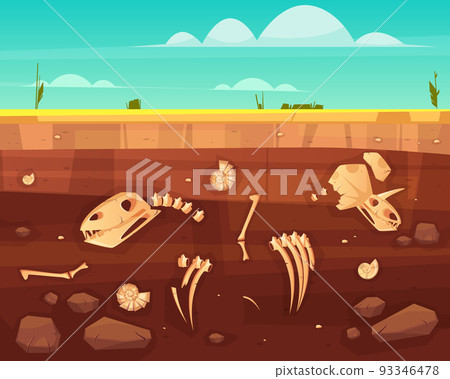Dinosaurs skeletons bones in soil layers vector Dinosaurs skeletons bones in soil layers vector 93346478
