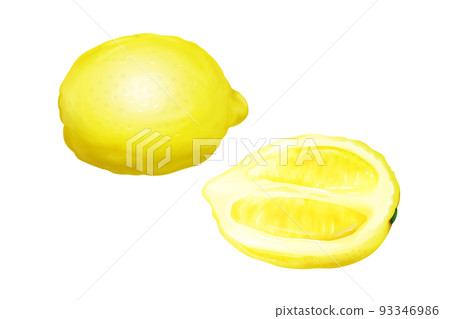 Lemon fruit vector realistic citrus illustration Lemon fruit vector realistic citrus illustration 93346986