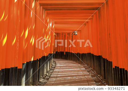 京都市伏見區伏見稻荷神社的千本鳥居 93348271