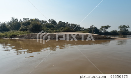 Jungle landscape on the cuaiaba riverbank, Pantanal,Brazil 93350575