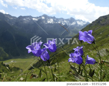 Stubai high-altitude hiking trail, lap 2 in Tyrol, Austria 93351296