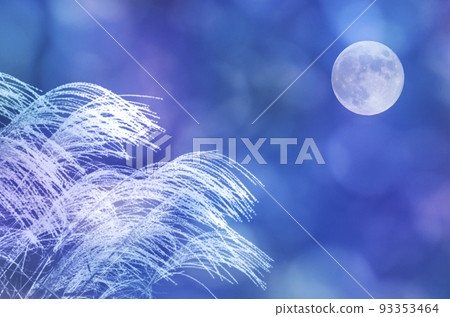 The silhouette of the shining white pampas grass, the full moon, and the scenery of the dark blue autumn twilight The silhouette of the shining white pampas grass, the full moon, and the scenery of the dark blue autumn twilight 93353464