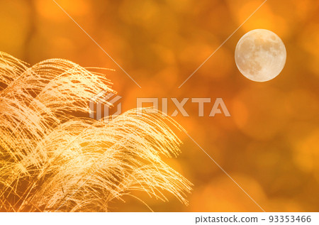 蒲葦的側影閃著白光，滿月，橙秋暮色的景色 93353466