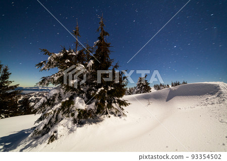 Magical winter landscape with snow covered tree. Vibrant night sky with stars and nebula and galaxy. Deep sky astrophoto. Magical winter landscape with snow covered tree. Vibrant night sky with stars and nebula and galaxy. Deep sky astrophoto. 93354502