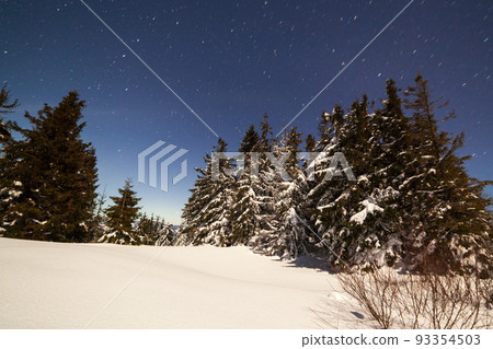 Magical winter landscape with snow covered tree. Vibrant night sky with stars and nebula and galaxy. Deep sky astrophoto. Magical winter landscape with snow covered tree. Vibrant night sky with stars and nebula and galaxy. Deep sky astrophoto. 93354503