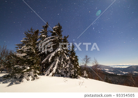 Magical winter landscape with snow covered tree. Vibrant night sky with stars and nebula and galaxy. Deep sky astrophoto. Magical winter landscape with snow covered tree. Vibrant night sky with stars and nebula and galaxy. Deep sky astrophoto. 93354505