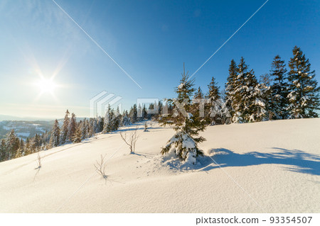 wonderfully majestic winter landscape glowing by sunlight. wintry scene. Carpathian, Ukraine, Europe. Beauty world. Happy New Year wonderfully majestic winter landscape glowing by sunlight. wintry scene. Carpathian, Ukraine, Europe. Beauty world. Happy New Year 93354507