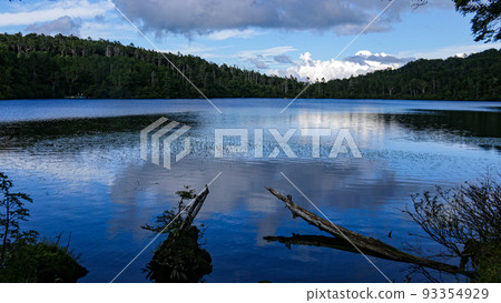夏天的北八岳白駒池被寂靜包圍 夏天的北八岳白駒池被寂靜包圍 93354929