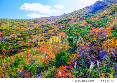 峰之辻的安達陀羅山山頂 93354978