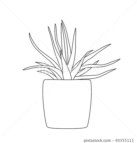 Hand drawn house plants in pots including aloe garden tools. Vector collection of doodle plants. 93355111