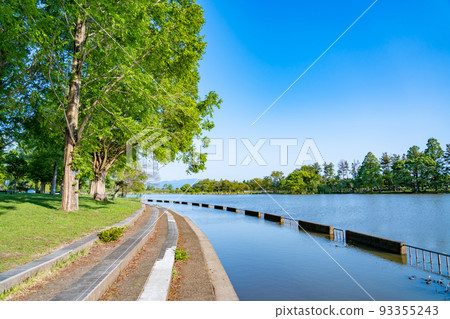 Nagahama City, Shiga Prefecture Okubiwa Sports Forest Pond in early summer 93355243