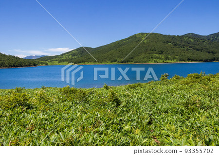 夏天的野澤湖,從湖邊長廊看到的風景 夏天的野澤湖,從湖邊長廊看到的風景 93355702