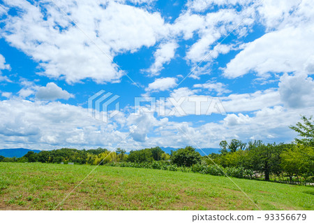 草坪公園和雲 93356679