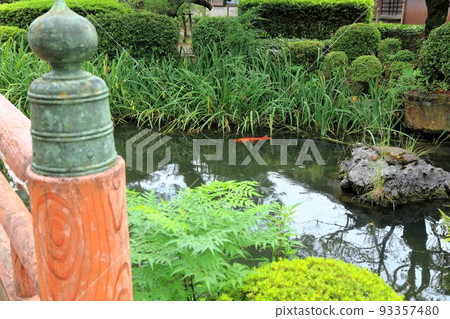 夏季26美濃三甲坊漫步（岐阜縣本棲郡北方町：圓興寺） 93357480