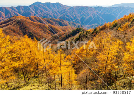 Autumn in Oku-Nikko, one of Japan's leading tourist destinations, view from Mt. Hangetsu in autumn colors Autumn in Oku-Nikko, one of Japan's leading tourist destinations, view from Mt. Hangetsu in autumn colors 93358517