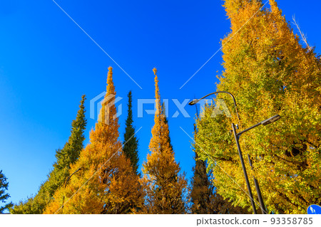 【東京的都市風景】外苑銀杏樹周圍的風景 93358785