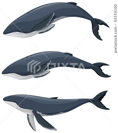 Set of humpback whale cartoon on white background 93359100