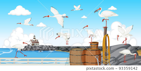American white ibis group at the coast 93359142