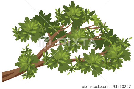 Isolated tree branch on white background Isolated tree branch on white background 93360207
