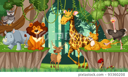 Various animals in the forest Various animals in the forest 93360208