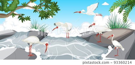 American white ibis group in the forest 93360214