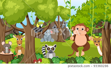 Cute wild animals in the forest Cute wild animals in the forest 93360286