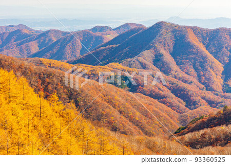 Autumn in Oku-Nikko, one of Japan's leading tourist destinations, view from Mt. Hangetsu in autumn colors 93360525