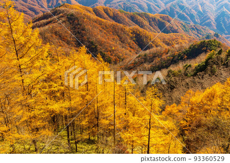 Autumn in Oku-Nikko, one of Japan's leading tourist destinations, view from Mt. Hangetsu in autumn colors Autumn in Oku-Nikko, one of Japan's leading tourist destinations, view from Mt. Hangetsu in autumn colors 93360529