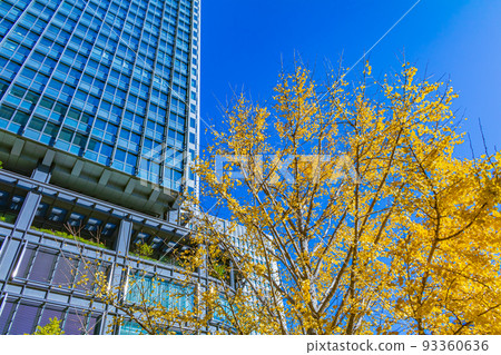 【東京都市風景】東京車站周邊和一排排銀杏樹 【東京都市風景】東京車站周邊和一排排銀杏樹 93360636