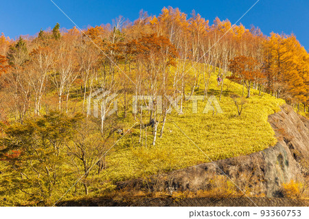 日本主要旅遊勝地之一的奧日光的秋天，秋色中的半月山 93360753