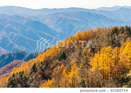 日本主要旅遊勝地之一奧日光的秋天，從半月山看秋色 93360754