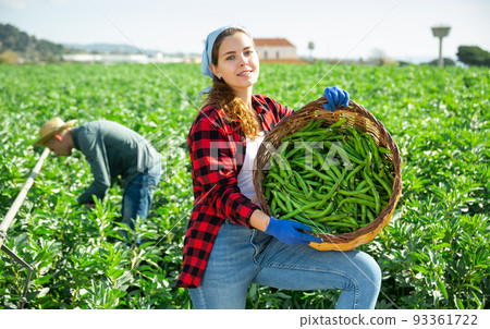 Portrait of female farmer holding basket with soybean Portrait of female farmer holding basket with soybean 93361722