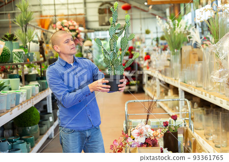 Man choosing artificial cactus in home goods store 93361765