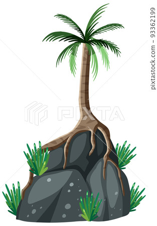 Palm tree on rock isolated Palm tree on rock isolated 93362199